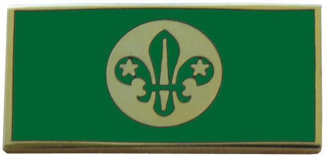 The Chief Scout’s Personal Award is awarded by the Chief Scout, in consultation with the National Awards Advisory Group to recognise achievement not covered by the criteria for any other awards. Chief Scouts Personal Award